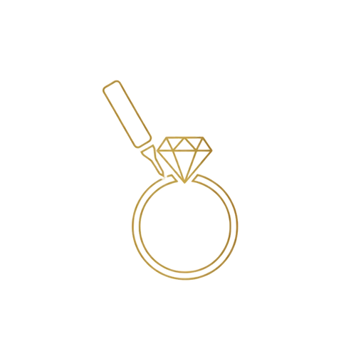 Expert Craftsmanship Icon